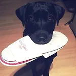 Otel Crowne Plaza Fiera By Ihg Verona